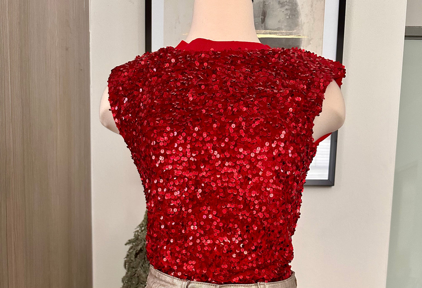 Sequin Vevelt Red top